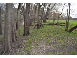 Property photo 9 - REAL ESTATE AUCTION 117+/- ACRES OFFERED IN 3 TRACTS OR IN COMBINATIONS IN NEWTON COUNTY, IN
