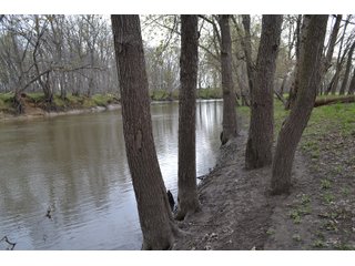 Property photo 8 - REAL ESTATE AUCTION 117+/- ACRES OFFERED IN 3 TRACTS OR IN COMBINATIONS IN NEWTON COUNTY, IN