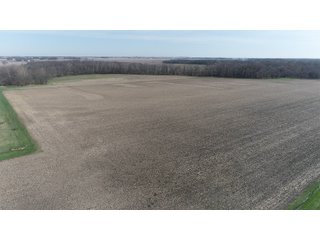 Property photo 5 - REAL ESTATE AUCTION 117+/- ACRES OFFERED IN 3 TRACTS OR IN COMBINATIONS IN NEWTON COUNTY, IN