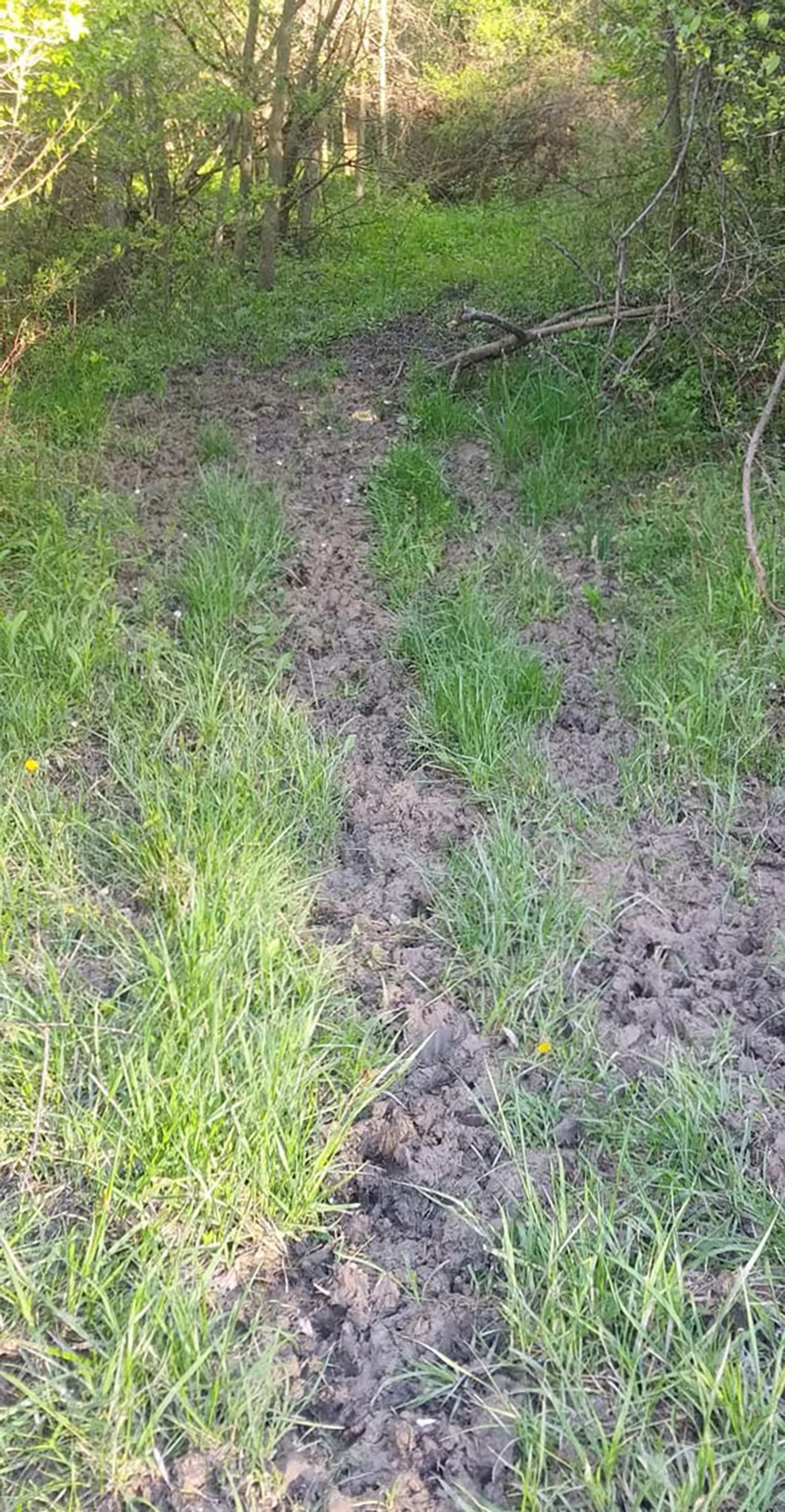 Property photo 46 - REAL ESTATE AUCTION 88.5+/- ACRES OFFERED IN 1 TRACT IN MIAMI COUNTY, IN