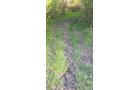 Property photo 46 - REAL ESTATE AUCTION 88.5+/- ACRES OFFERED IN 1 TRACT IN MIAMI COUNTY, IN