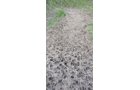 Property photo 25 - REAL ESTATE AUCTION 88.5+/- ACRES OFFERED IN 1 TRACT IN MIAMI COUNTY, IN