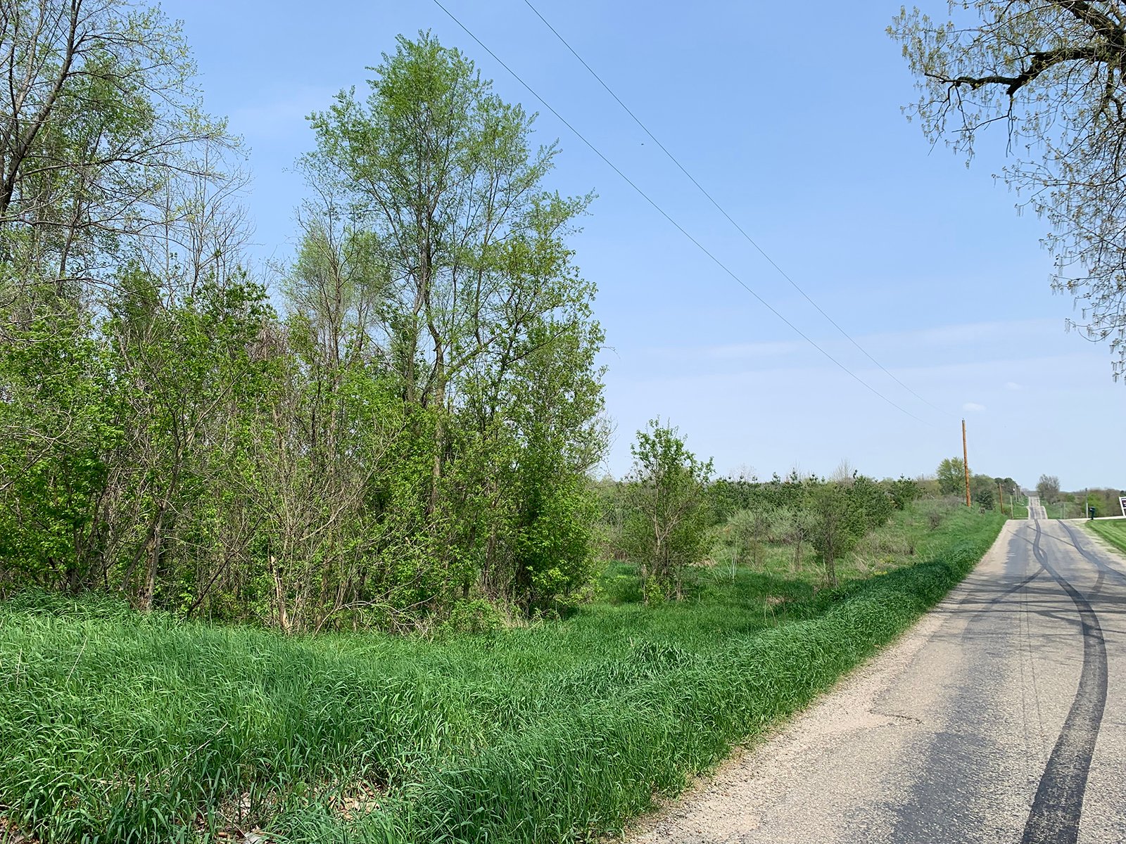 Property photo 27 - REAL ESTATE AUCTION 88.5+/- ACRES OFFERED IN 1 TRACT IN MIAMI COUNTY, IN