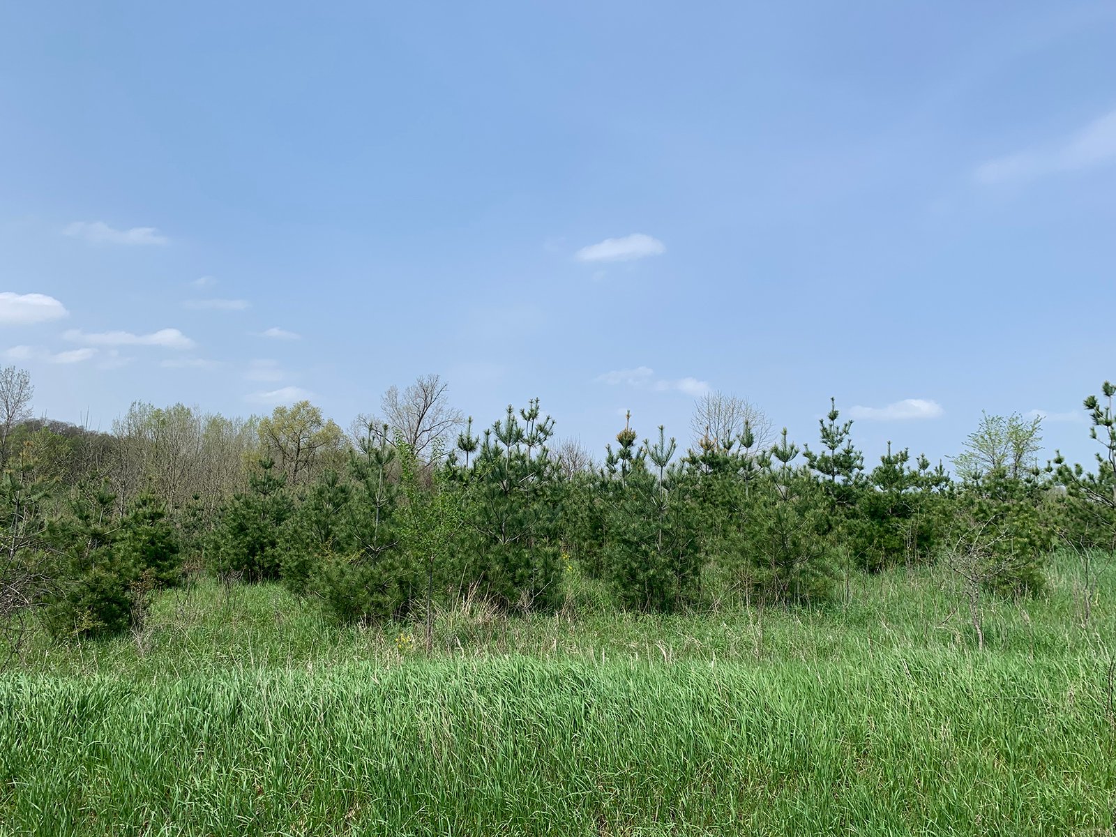 Property photo 28 - REAL ESTATE AUCTION 88.5+/- ACRES OFFERED IN 1 TRACT IN MIAMI COUNTY, IN