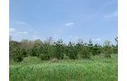 Property photo 28 - REAL ESTATE AUCTION 88.5+/- ACRES OFFERED IN 1 TRACT IN MIAMI COUNTY, IN