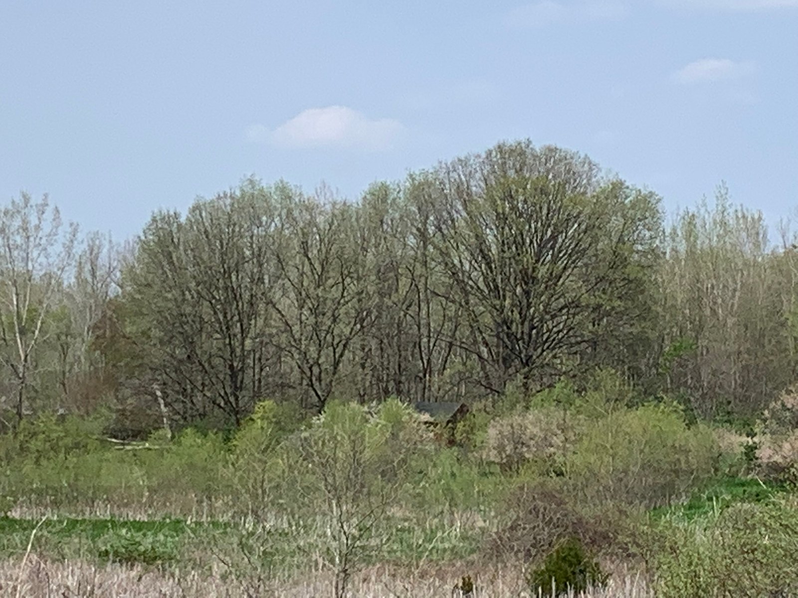 Property photo 29 - REAL ESTATE AUCTION 88.5+/- ACRES OFFERED IN 1 TRACT IN MIAMI COUNTY, IN