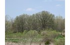 Property photo 29 - REAL ESTATE AUCTION 88.5+/- ACRES OFFERED IN 1 TRACT IN MIAMI COUNTY, IN