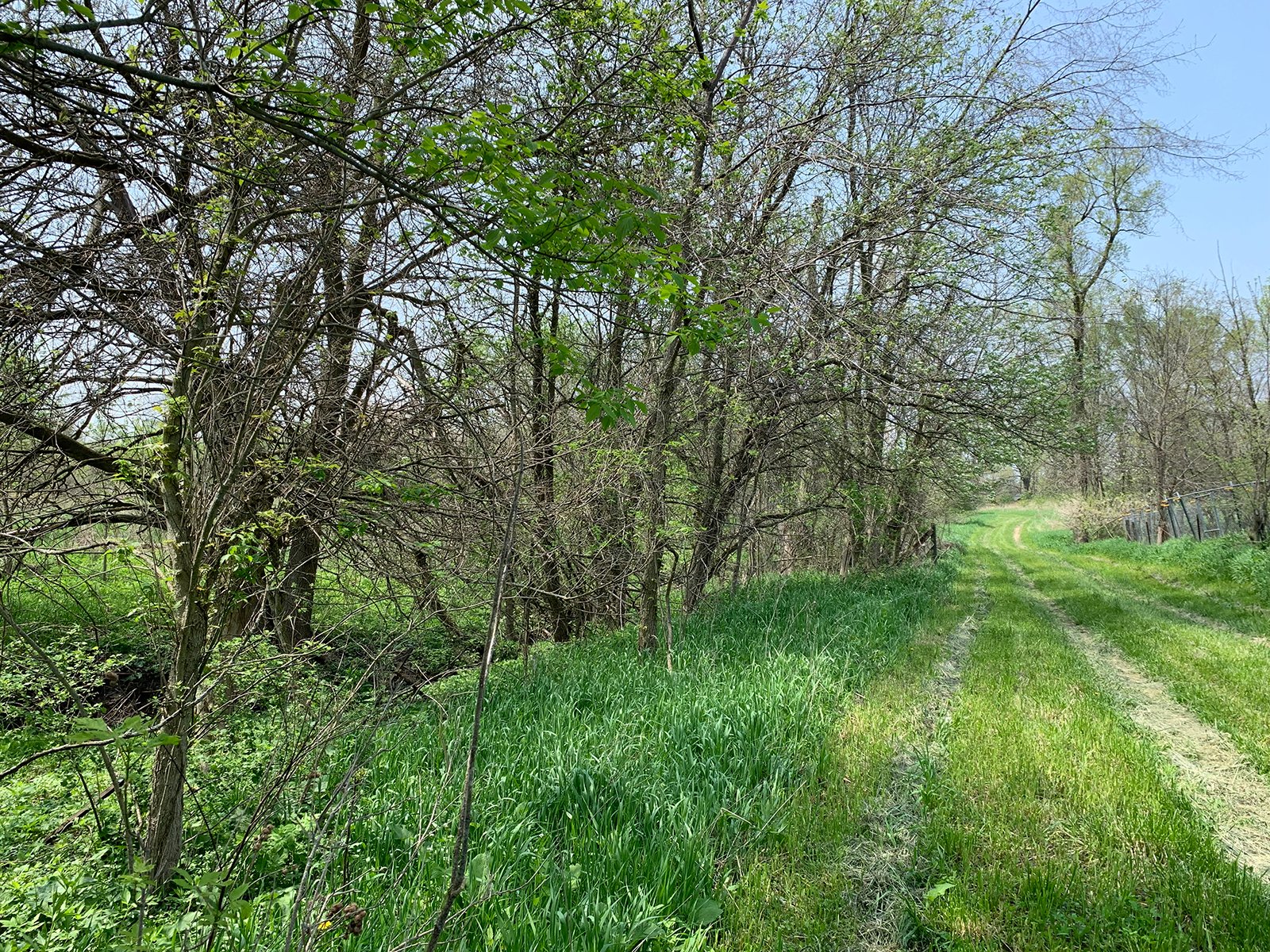 Property photo 30 - REAL ESTATE AUCTION 88.5+/- ACRES OFFERED IN 1 TRACT IN MIAMI COUNTY, IN