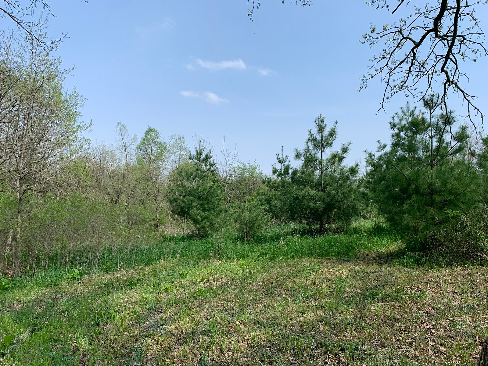 Property photo 31 - REAL ESTATE AUCTION 88.5+/- ACRES OFFERED IN 1 TRACT IN MIAMI COUNTY, IN