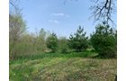 Property photo 31 - REAL ESTATE AUCTION 88.5+/- ACRES OFFERED IN 1 TRACT IN MIAMI COUNTY, IN