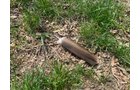 Property photo 34 - REAL ESTATE AUCTION 88.5+/- ACRES OFFERED IN 1 TRACT IN MIAMI COUNTY, IN