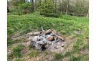 Property photo 35 - REAL ESTATE AUCTION 88.5+/- ACRES OFFERED IN 1 TRACT IN MIAMI COUNTY, IN