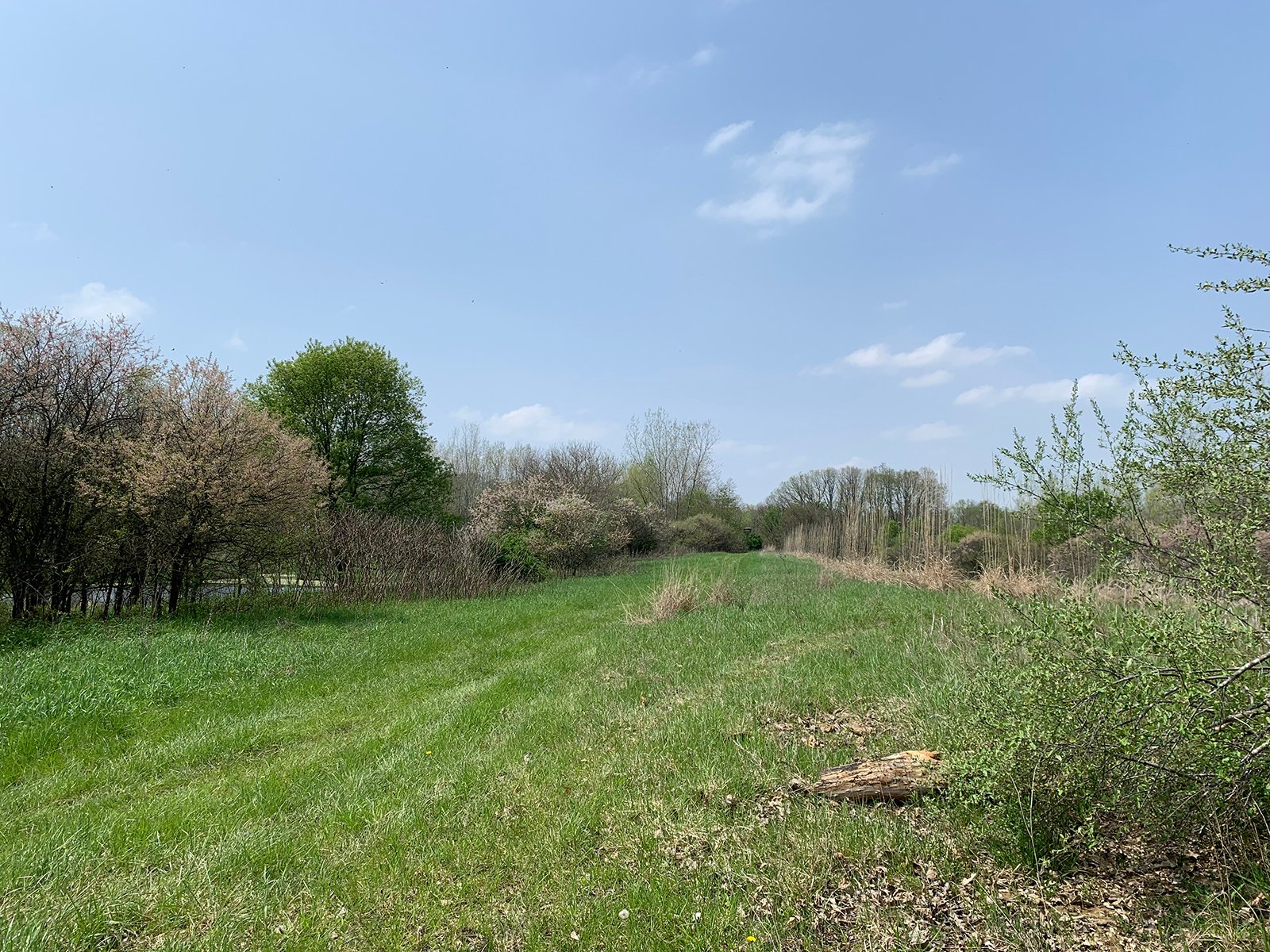 Property photo 36 - REAL ESTATE AUCTION 88.5+/- ACRES OFFERED IN 1 TRACT IN MIAMI COUNTY, IN