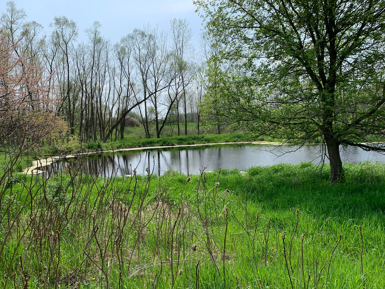 Property photo 24 - REAL ESTATE AUCTION 88.5+/- ACRES OFFERED IN 1 TRACT IN MIAMI COUNTY, IN