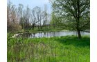 Property photo 24 - REAL ESTATE AUCTION 88.5+/- ACRES OFFERED IN 1 TRACT IN MIAMI COUNTY, IN