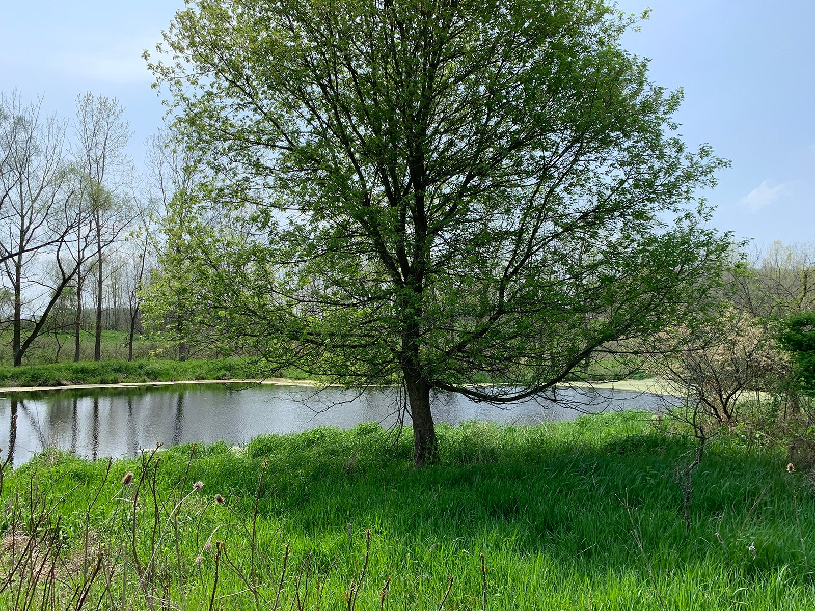 Property photo 38 - REAL ESTATE AUCTION 88.5+/- ACRES OFFERED IN 1 TRACT IN MIAMI COUNTY, IN