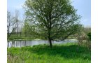 Property photo 38 - REAL ESTATE AUCTION 88.5+/- ACRES OFFERED IN 1 TRACT IN MIAMI COUNTY, IN