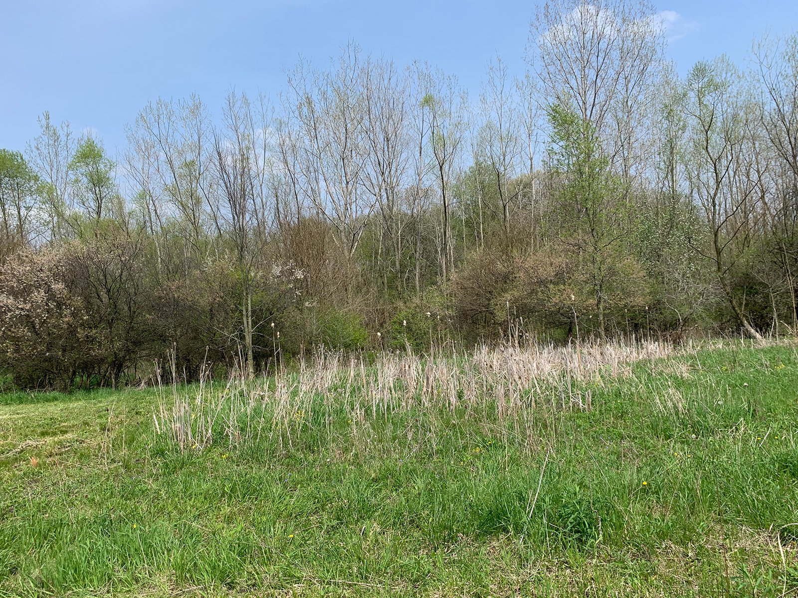 Property photo 39 - REAL ESTATE AUCTION 88.5+/- ACRES OFFERED IN 1 TRACT IN MIAMI COUNTY, IN