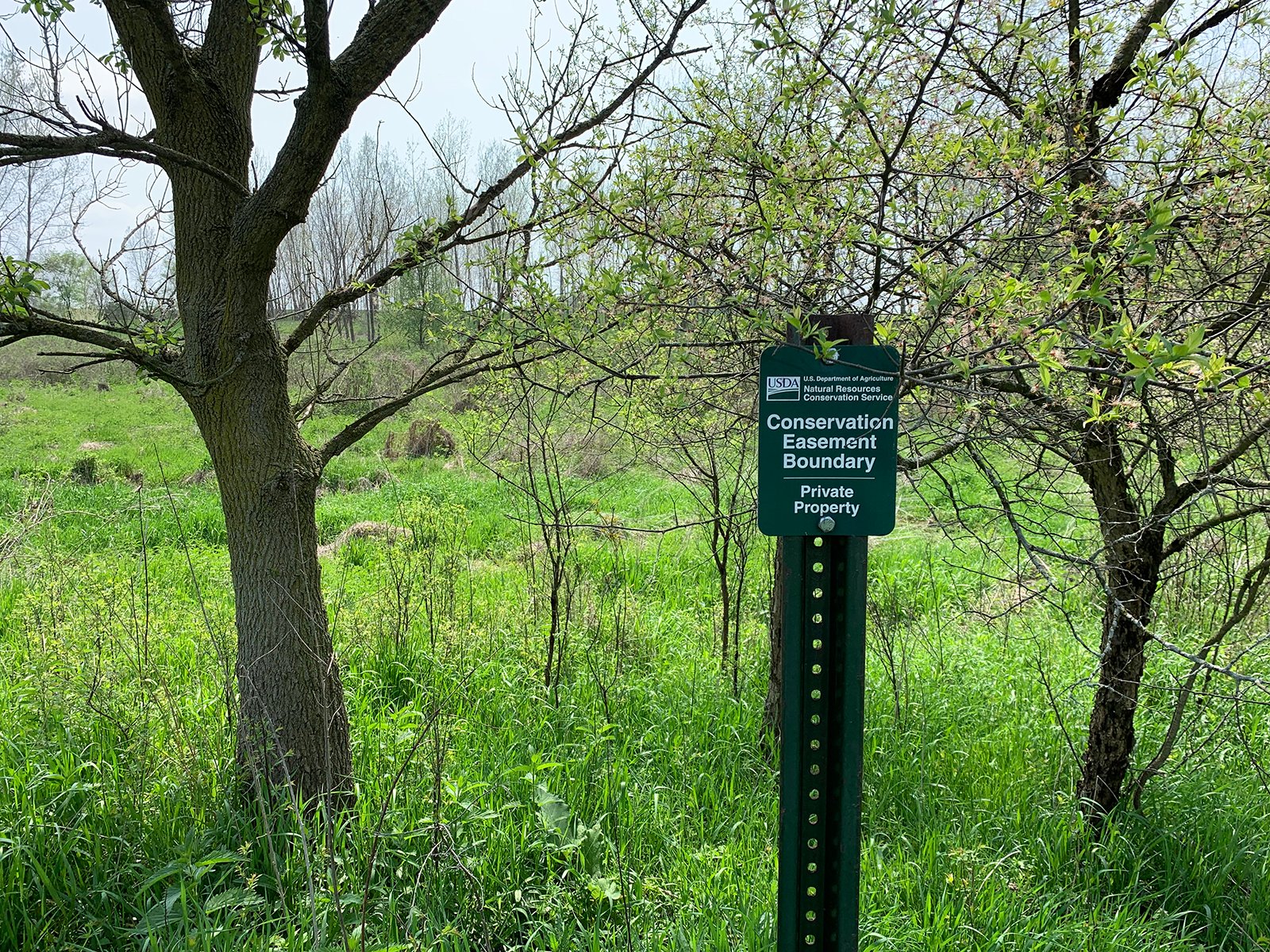 Property photo 40 - REAL ESTATE AUCTION 88.5+/- ACRES OFFERED IN 1 TRACT IN MIAMI COUNTY, IN