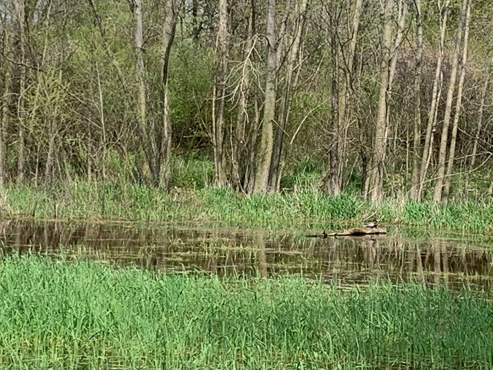 Property photo 41 - REAL ESTATE AUCTION 88.5+/- ACRES OFFERED IN 1 TRACT IN MIAMI COUNTY, IN
