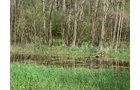 Property photo 41 - REAL ESTATE AUCTION 88.5+/- ACRES OFFERED IN 1 TRACT IN MIAMI COUNTY, IN