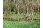 Property photo 42 - REAL ESTATE AUCTION 88.5+/- ACRES OFFERED IN 1 TRACT IN MIAMI COUNTY, IN