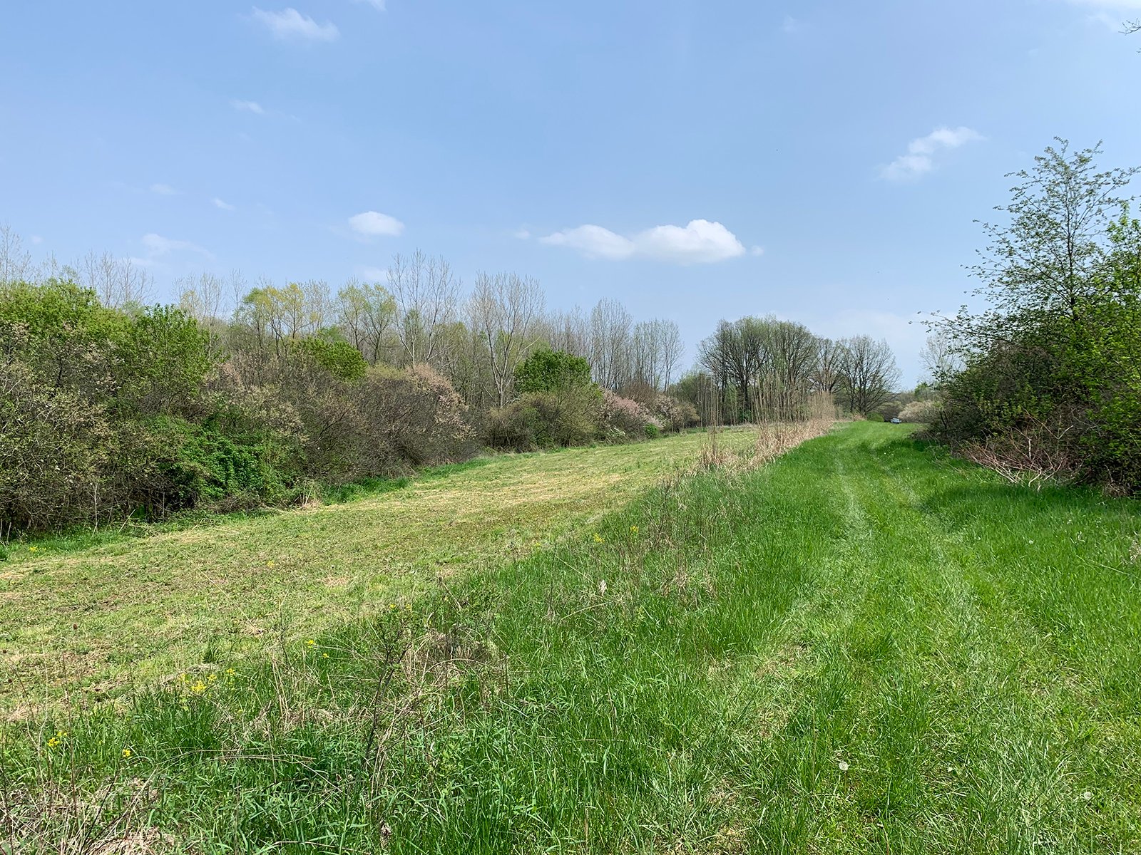 Property photo 43 - REAL ESTATE AUCTION 88.5+/- ACRES OFFERED IN 1 TRACT IN MIAMI COUNTY, IN
