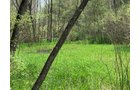 Property photo 44 - REAL ESTATE AUCTION 88.5+/- ACRES OFFERED IN 1 TRACT IN MIAMI COUNTY, IN