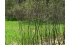 Property photo 45 - REAL ESTATE AUCTION 88.5+/- ACRES OFFERED IN 1 TRACT IN MIAMI COUNTY, IN