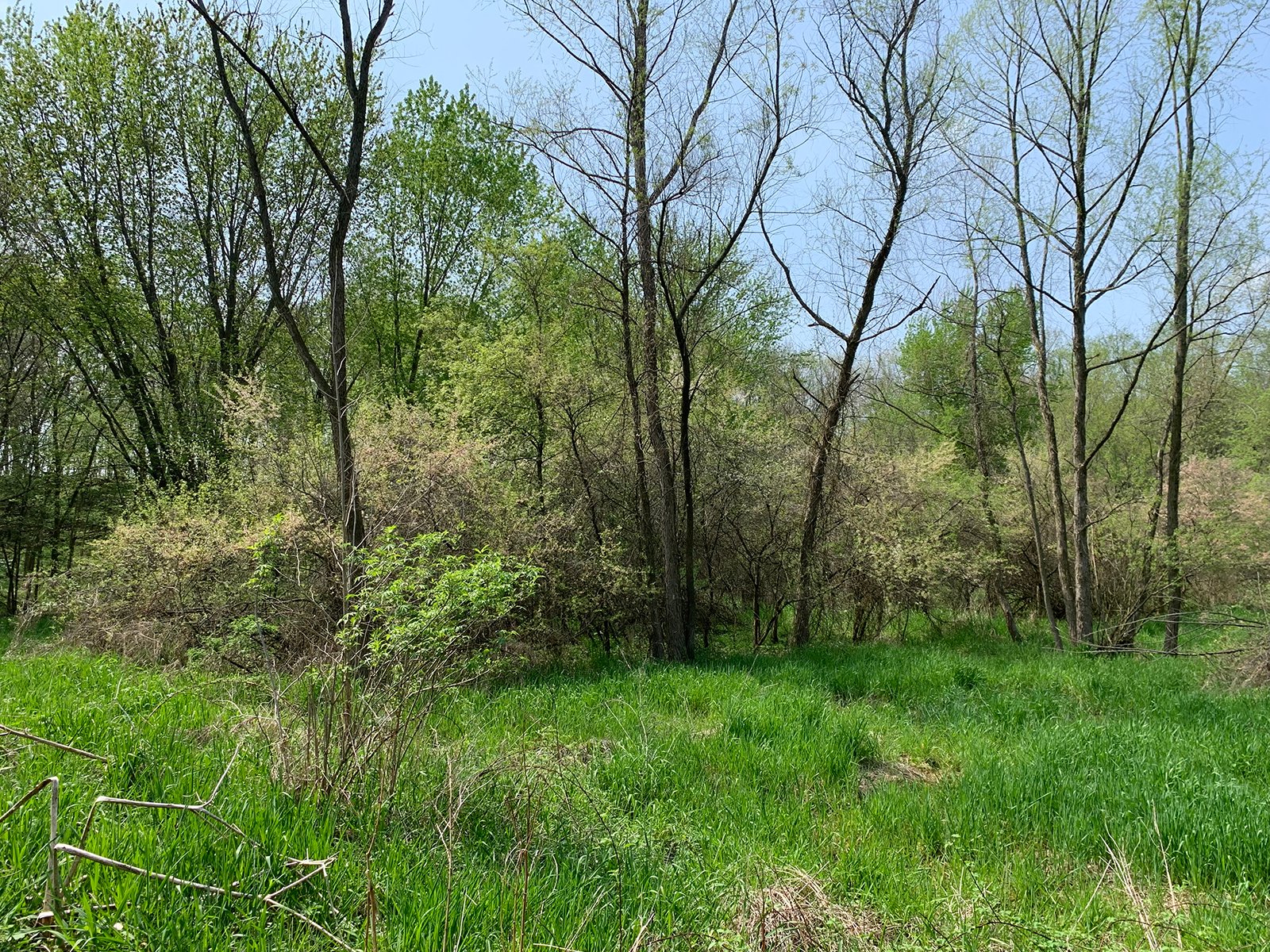 Property photo 15 - REAL ESTATE AUCTION 88.5+/- ACRES OFFERED IN 1 TRACT IN MIAMI COUNTY, IN