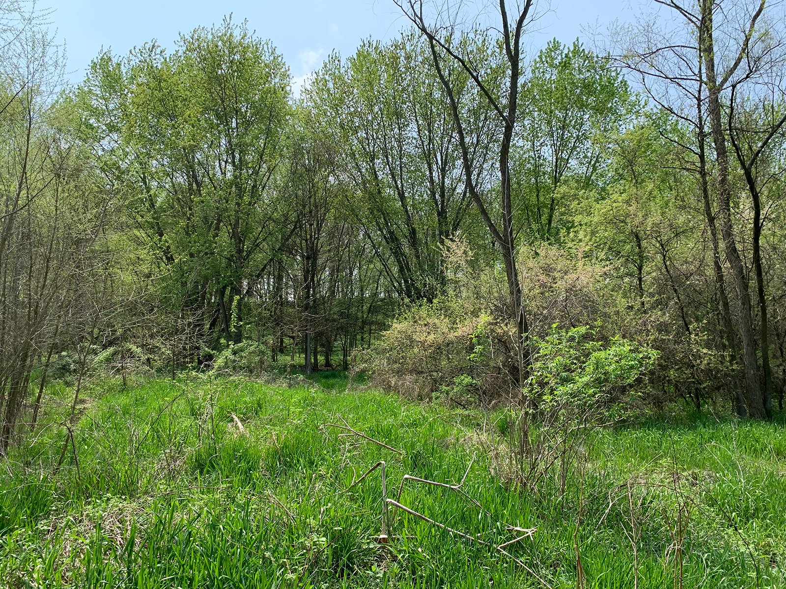 Property photo 47 - REAL ESTATE AUCTION 88.5+/- ACRES OFFERED IN 1 TRACT IN MIAMI COUNTY, IN