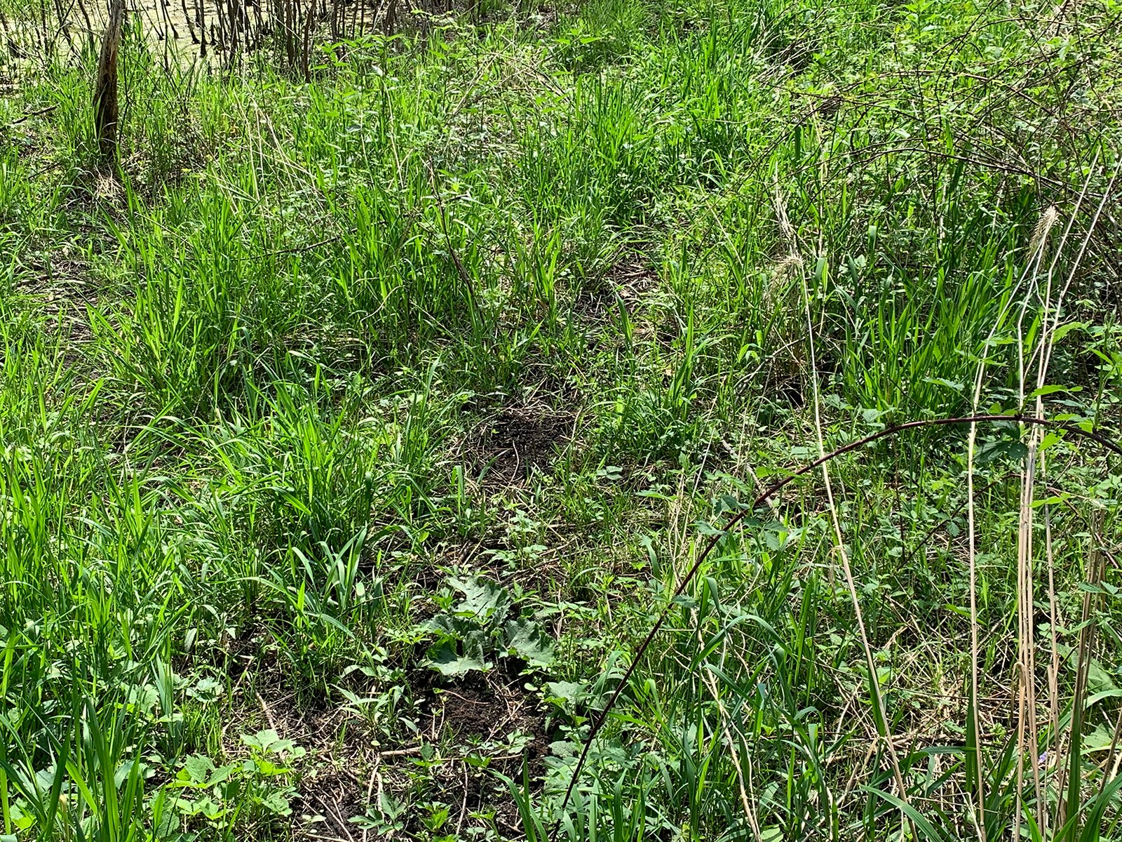 Property photo 48 - REAL ESTATE AUCTION 88.5+/- ACRES OFFERED IN 1 TRACT IN MIAMI COUNTY, IN
