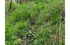 Property photo 48 - REAL ESTATE AUCTION 88.5+/- ACRES OFFERED IN 1 TRACT IN MIAMI COUNTY, IN
