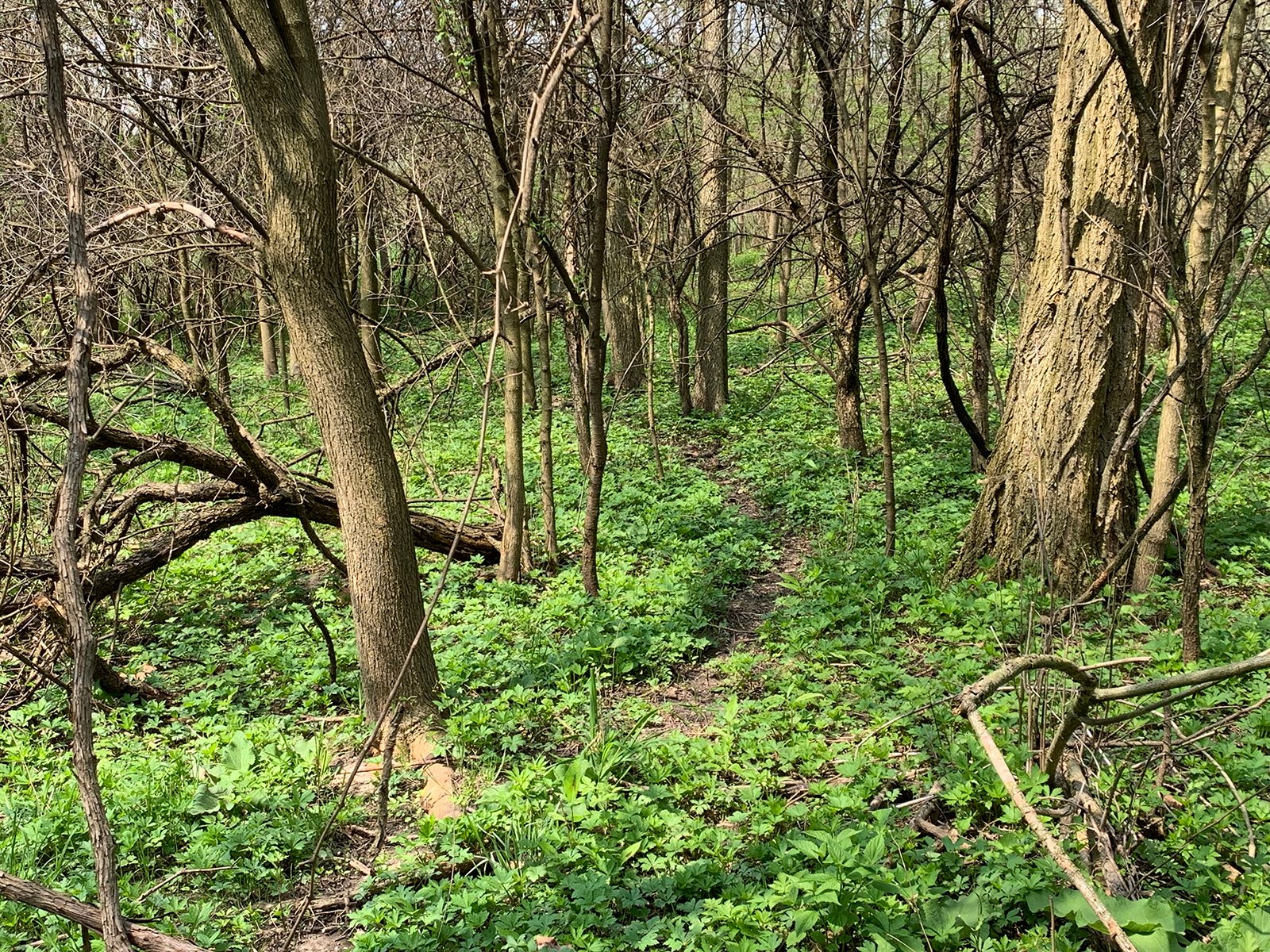 Property photo 37 - REAL ESTATE AUCTION 88.5+/- ACRES OFFERED IN 1 TRACT IN MIAMI COUNTY, IN