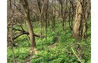 Property photo 37 - REAL ESTATE AUCTION 88.5+/- ACRES OFFERED IN 1 TRACT IN MIAMI COUNTY, IN