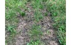 Property photo 23 - REAL ESTATE AUCTION 88.5+/- ACRES OFFERED IN 1 TRACT IN MIAMI COUNTY, IN