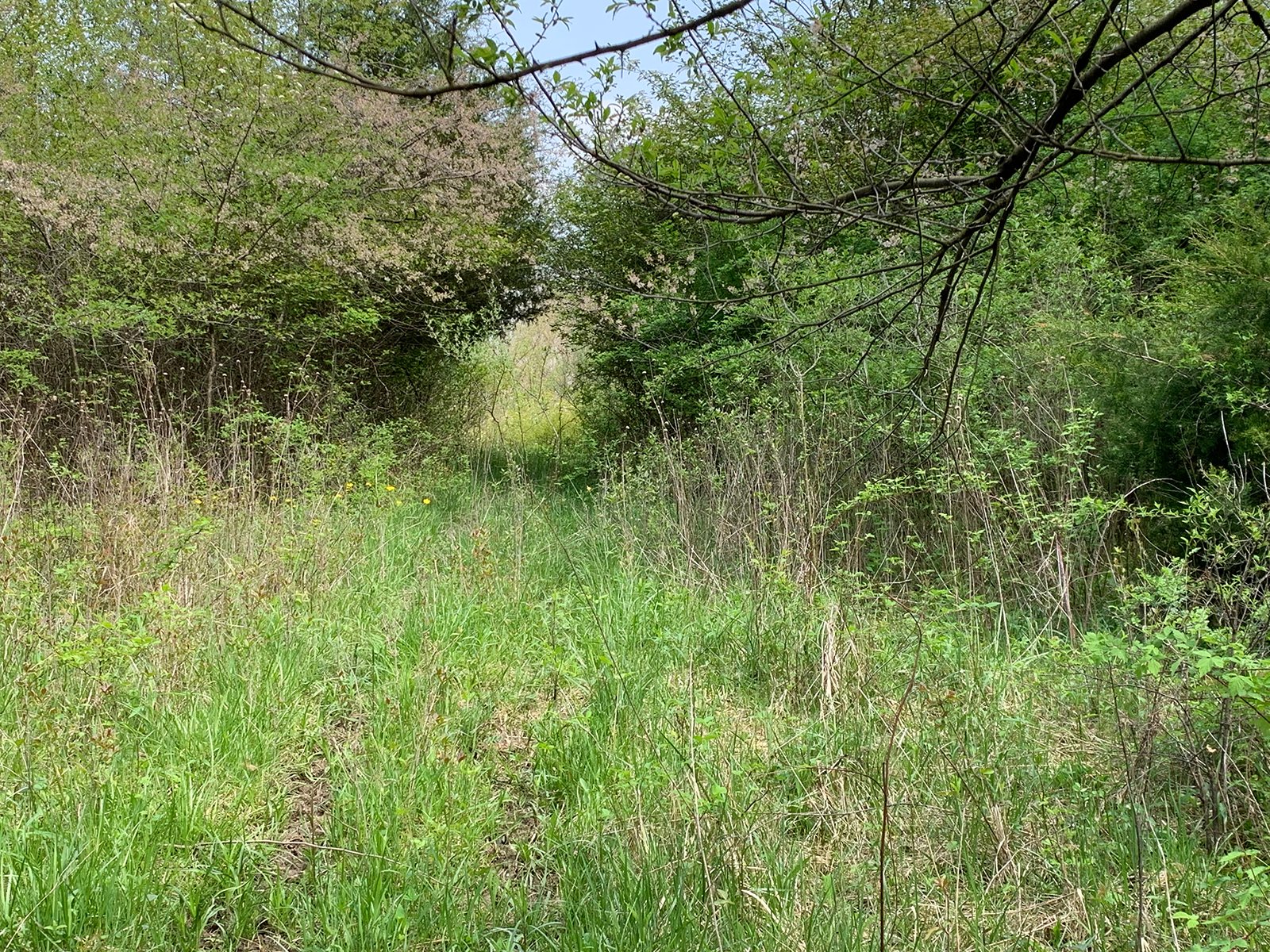 Property photo 22 - REAL ESTATE AUCTION 88.5+/- ACRES OFFERED IN 1 TRACT IN MIAMI COUNTY, IN