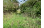 Property photo 22 - REAL ESTATE AUCTION 88.5+/- ACRES OFFERED IN 1 TRACT IN MIAMI COUNTY, IN