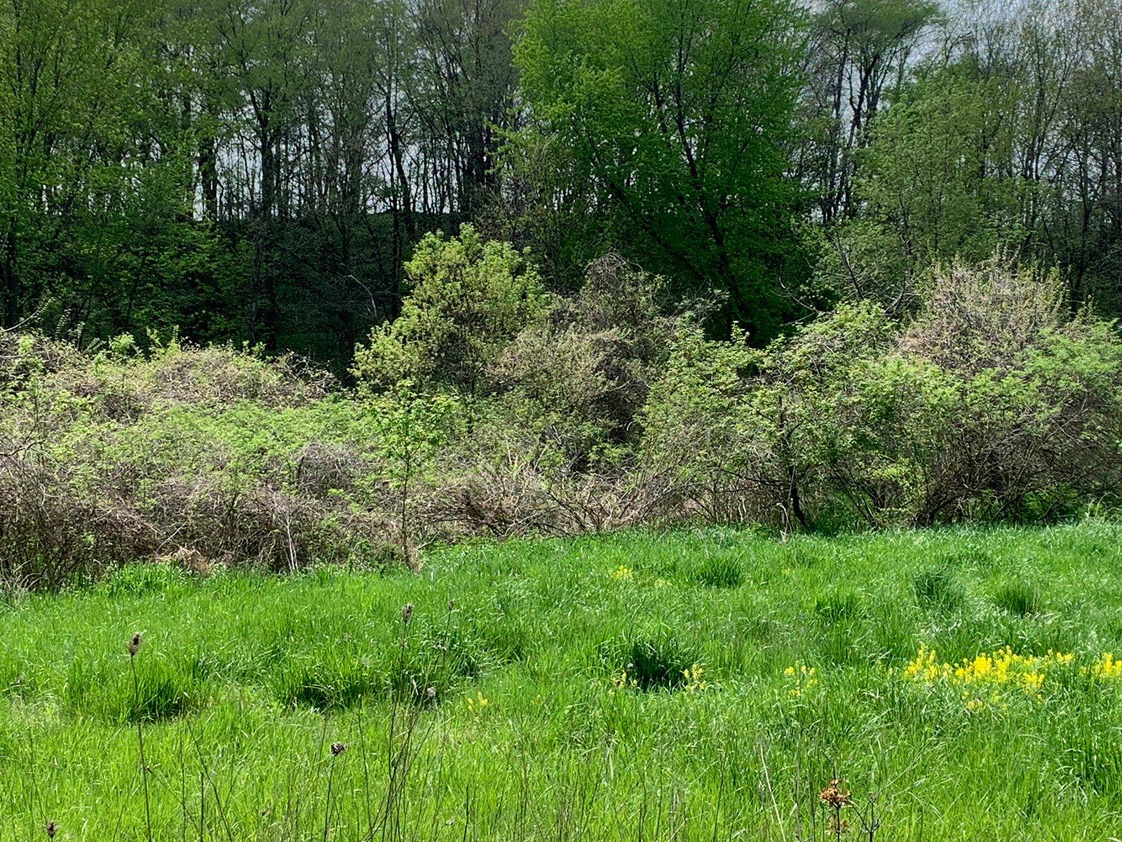 Property photo 21 - REAL ESTATE AUCTION 88.5+/- ACRES OFFERED IN 1 TRACT IN MIAMI COUNTY, IN