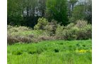 Property photo 21 - REAL ESTATE AUCTION 88.5+/- ACRES OFFERED IN 1 TRACT IN MIAMI COUNTY, IN