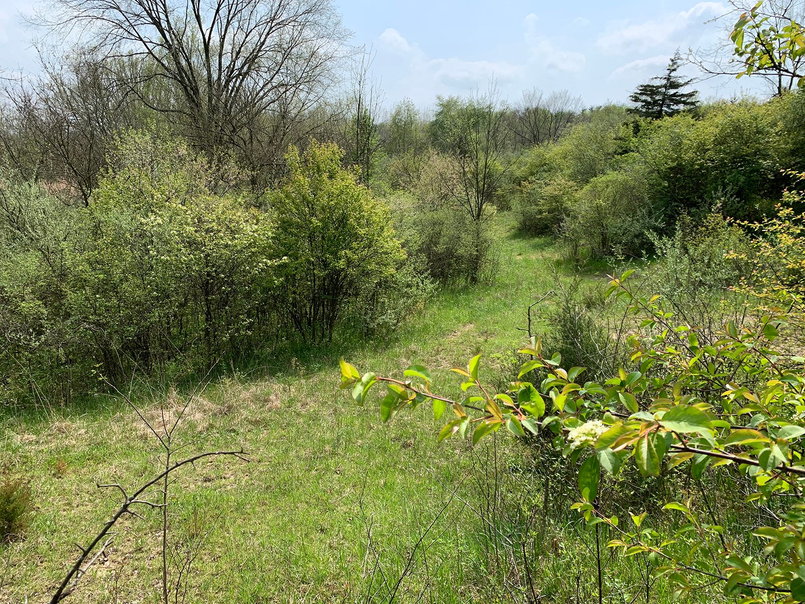 Property photo 20 - REAL ESTATE AUCTION 88.5+/- ACRES OFFERED IN 1 TRACT IN MIAMI COUNTY, IN