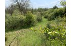 Property photo 20 - REAL ESTATE AUCTION 88.5+/- ACRES OFFERED IN 1 TRACT IN MIAMI COUNTY, IN