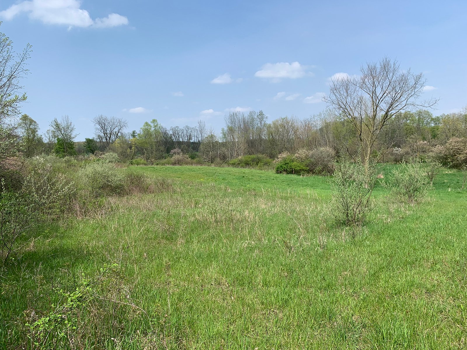 Property photo 19 - REAL ESTATE AUCTION 88.5+/- ACRES OFFERED IN 1 TRACT IN MIAMI COUNTY, IN