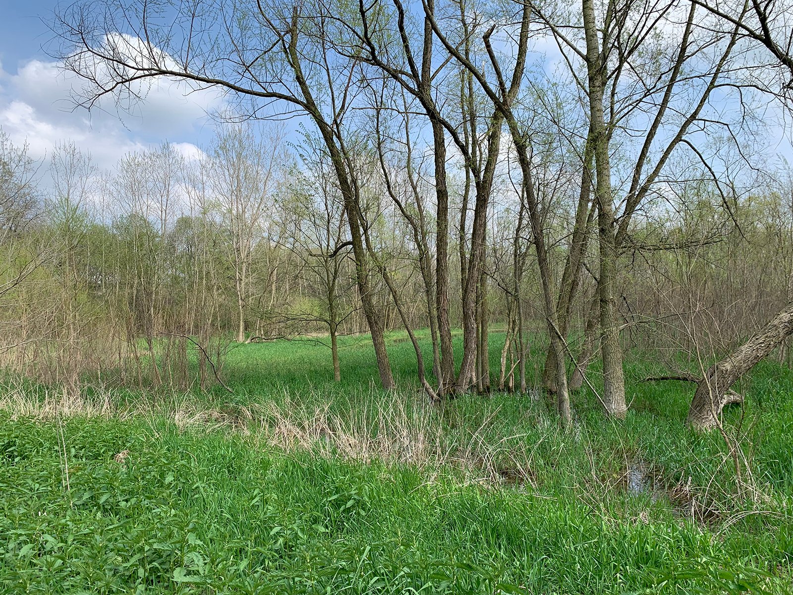 Property photo 17 - REAL ESTATE AUCTION 88.5+/- ACRES OFFERED IN 1 TRACT IN MIAMI COUNTY, IN