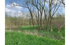 Property photo 17 - REAL ESTATE AUCTION 88.5+/- ACRES OFFERED IN 1 TRACT IN MIAMI COUNTY, IN