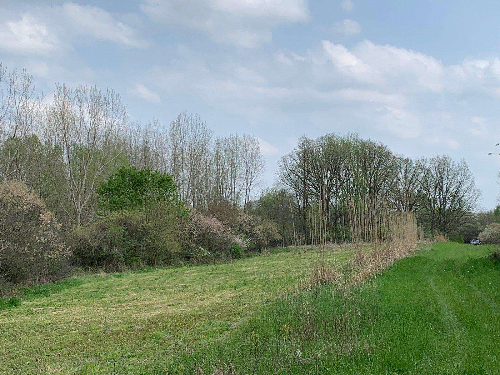 Property photo 16 - REAL ESTATE AUCTION 88.5+/- ACRES OFFERED IN 1 TRACT IN MIAMI COUNTY, IN