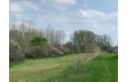 Property photo 16 - REAL ESTATE AUCTION 88.5+/- ACRES OFFERED IN 1 TRACT IN MIAMI COUNTY, IN