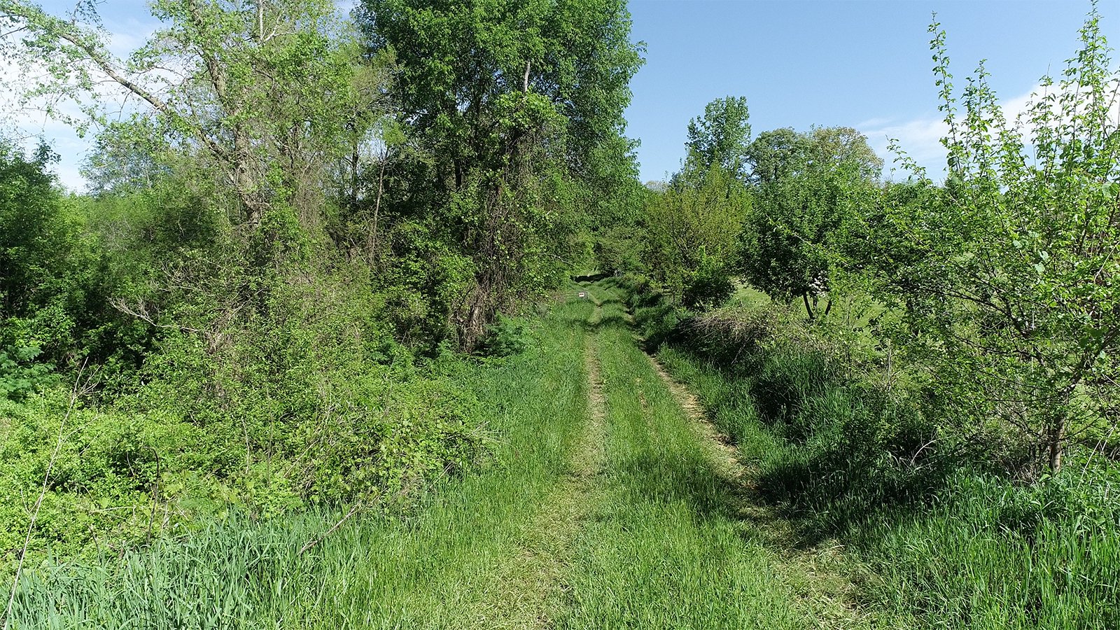 Property photo 6 - REAL ESTATE AUCTION 88.5+/- ACRES OFFERED IN 1 TRACT IN MIAMI COUNTY, IN