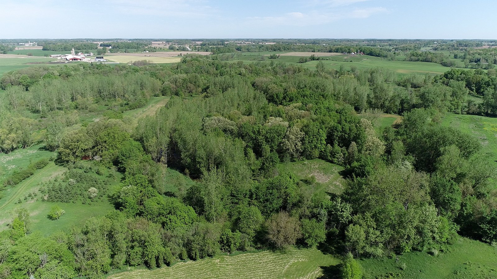 Property photo 7 - REAL ESTATE AUCTION 88.5+/- ACRES OFFERED IN 1 TRACT IN MIAMI COUNTY, IN