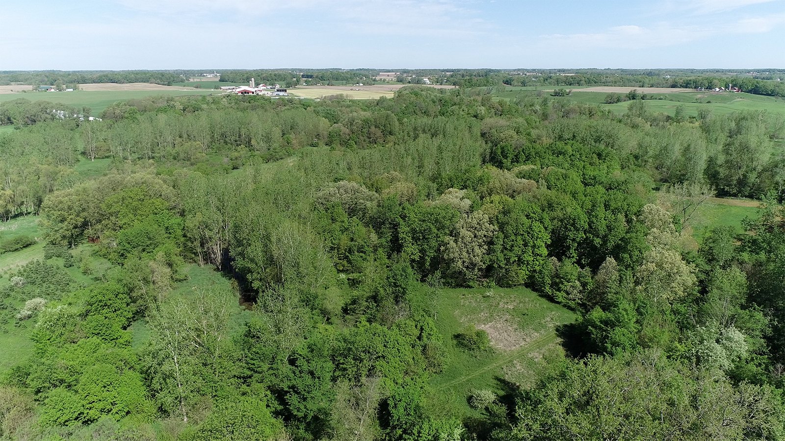 Property photo 8 - REAL ESTATE AUCTION 88.5+/- ACRES OFFERED IN 1 TRACT IN MIAMI COUNTY, IN